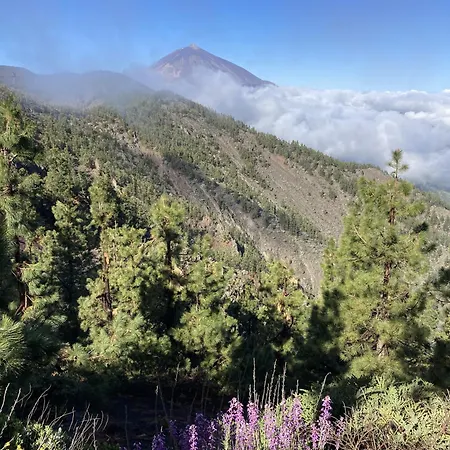 Casa Papaya Casa vacanze El Médano